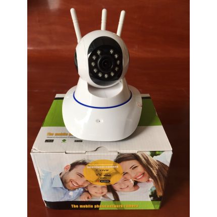 Camera YOOSEE. 3 râu