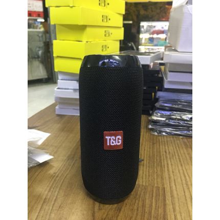 Loa Bluetooth PORTABLE TG117