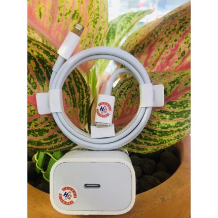 Sạc zin máy Promax 